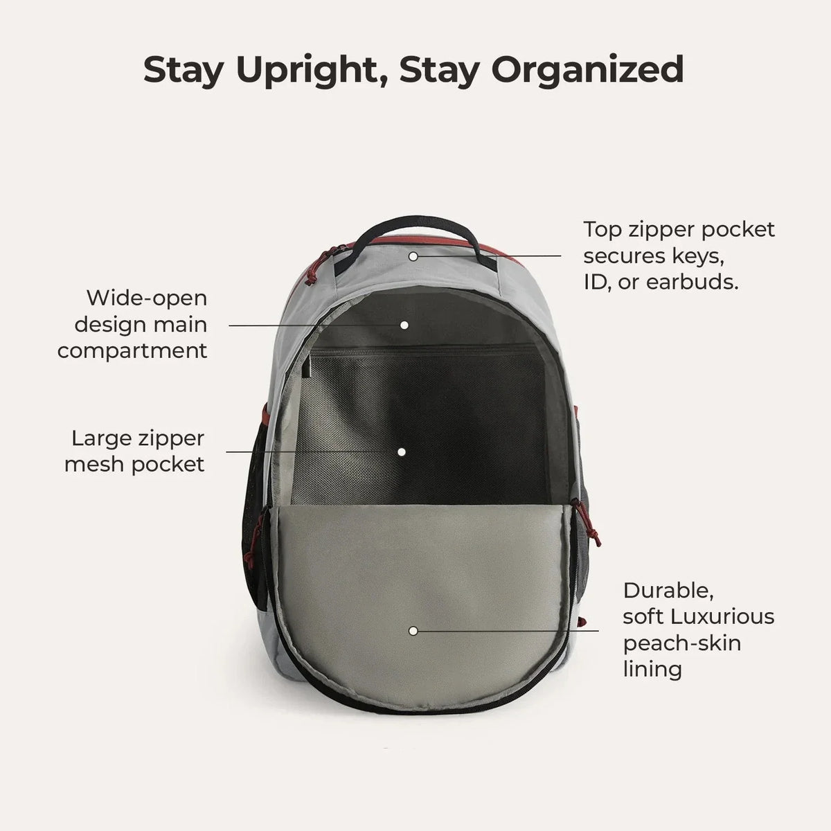 Focus 15.6" Laptop Backpack