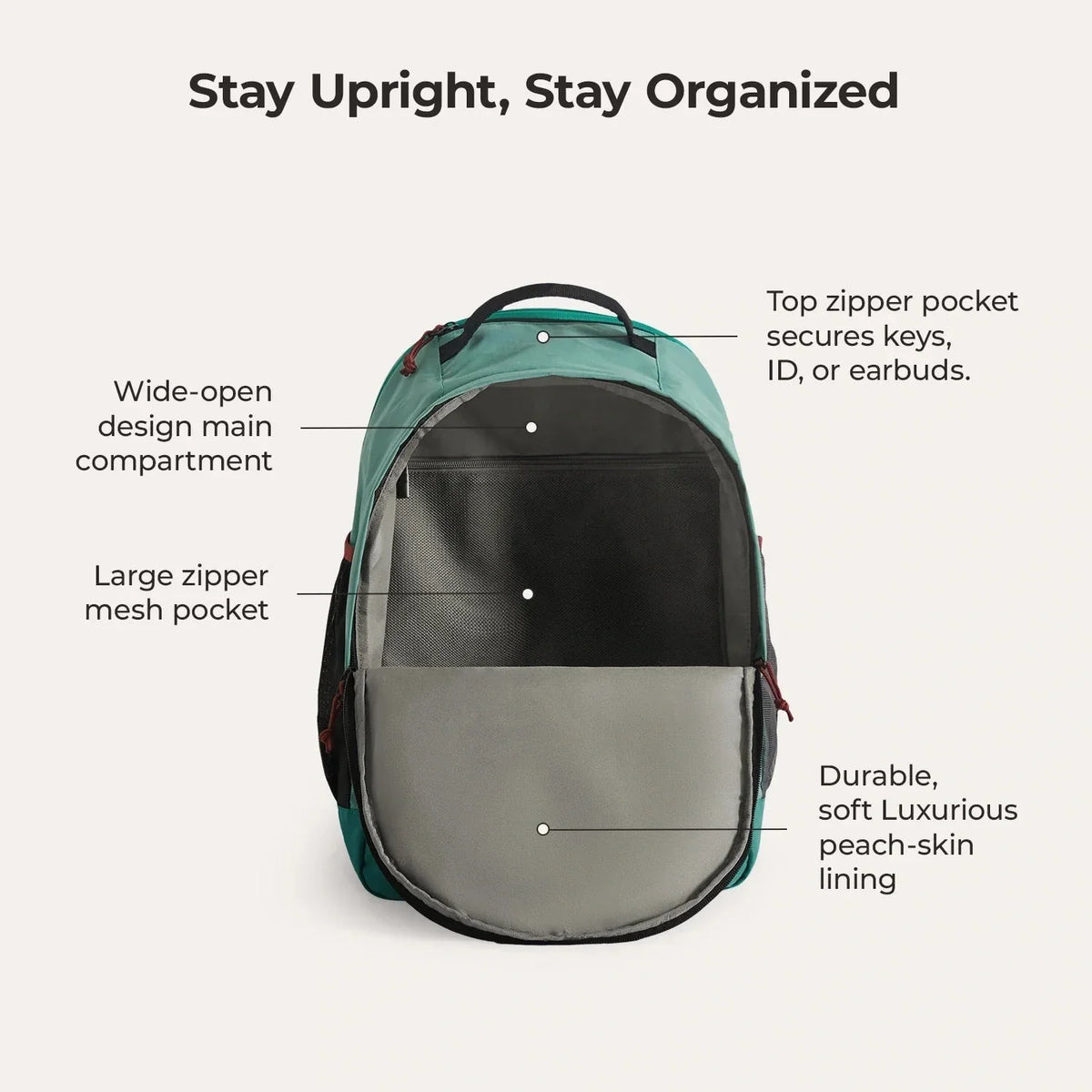 Focus 15.6" Laptop Backpack