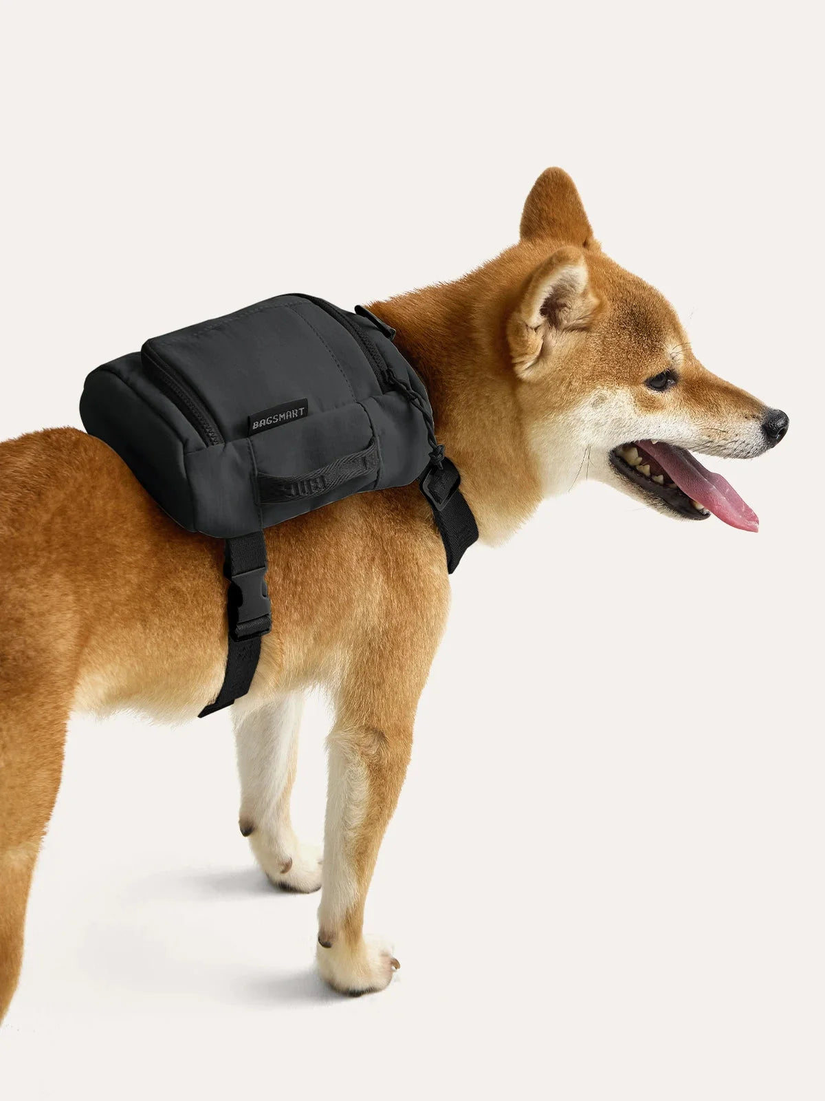 Blast Dog Backpack