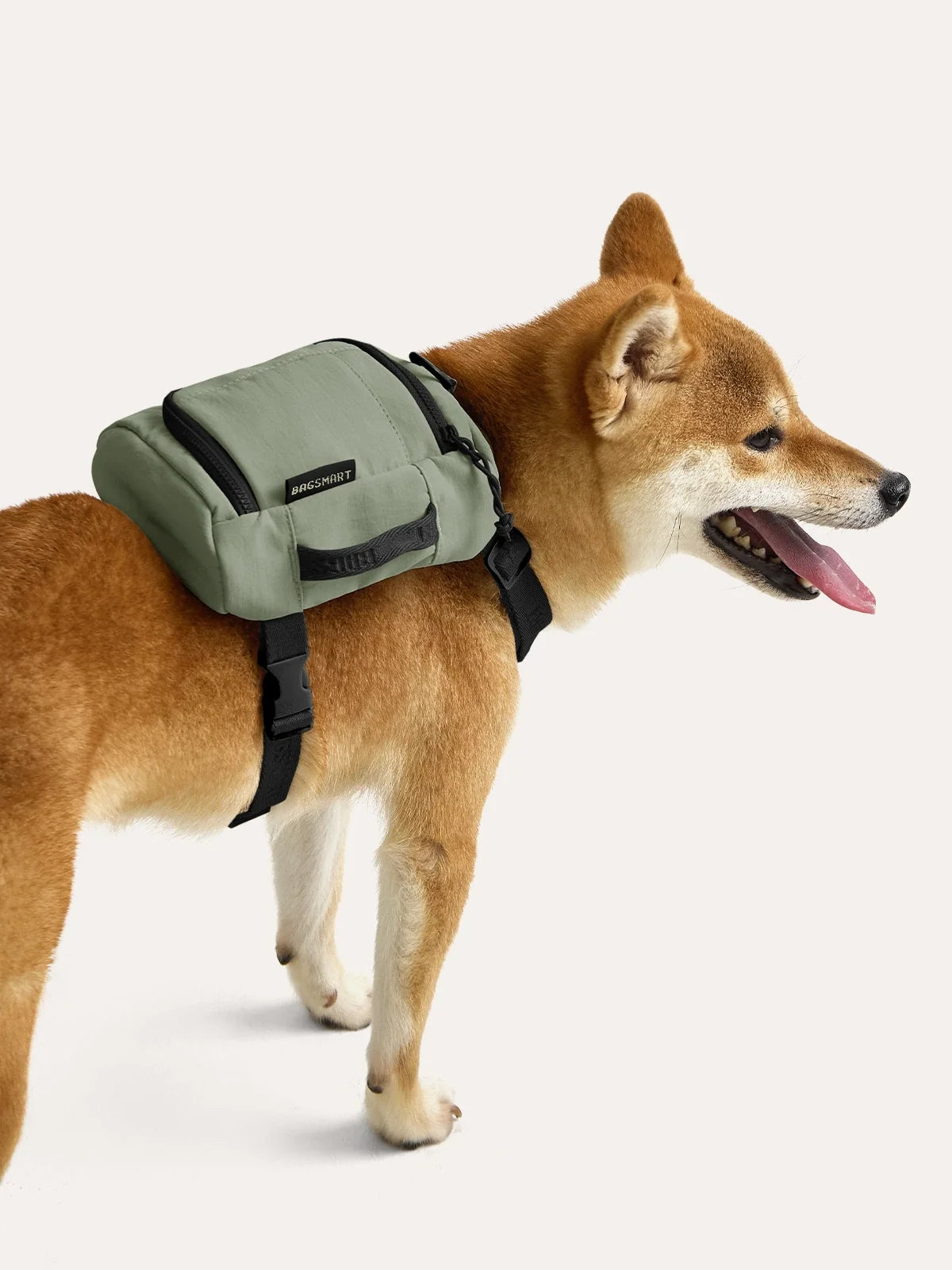 Blast Dog Backpack