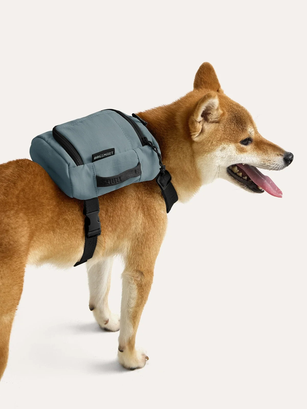 Blast Dog Backpack